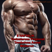 Definasyon Kürü 2 (Orta-İleri Seviye) Definasyon Kürü 2 (Orta-İleri Seviye)